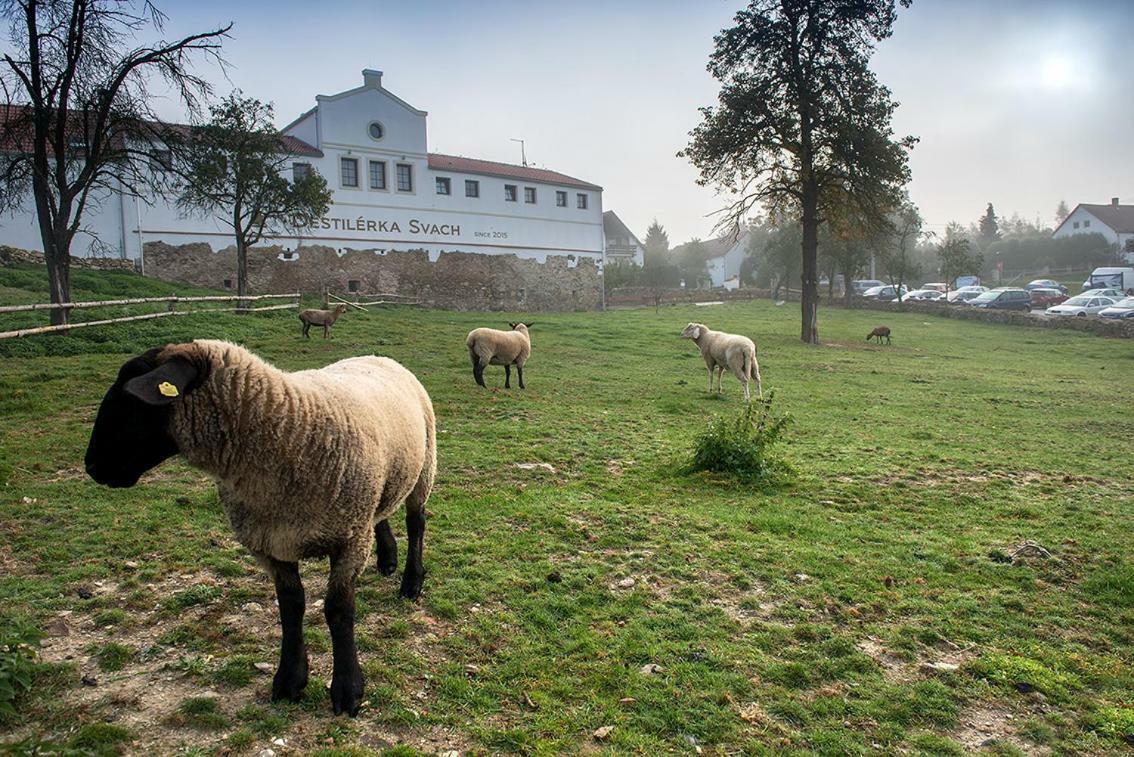 Wellness Hotel Svachovka Mírkovice Buitenkant foto
